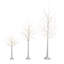 4Ft. 6Ft. 8Ft. Pre-Lit Artificial White Birch Trees With LED Lights - Set Of 3