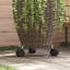 Neneh Caddy Plant Stand