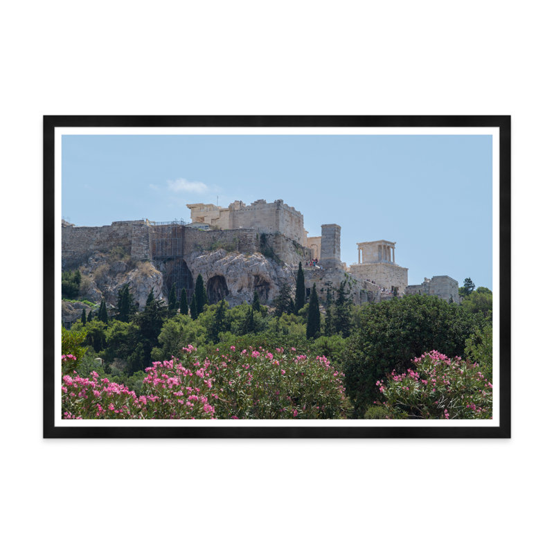Acropole florale, Noir, H 35,5 po x l 54,75 po x P 1,5 po