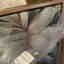 Customer photo 2 of 2
