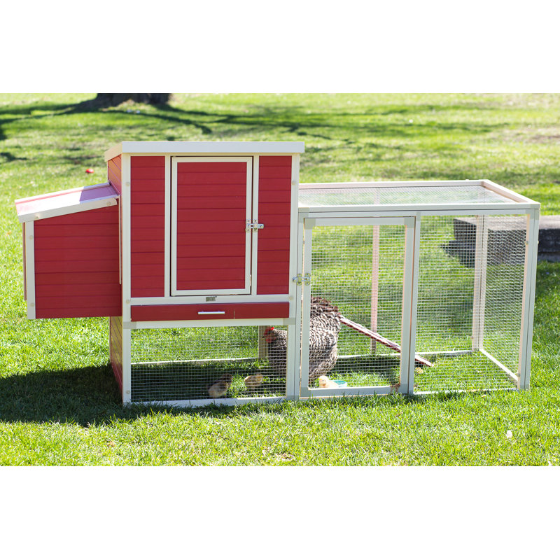 Achilles New Age Pet® ECOFLEX® Chicken Coop with Nesting Box/Roosting Bars