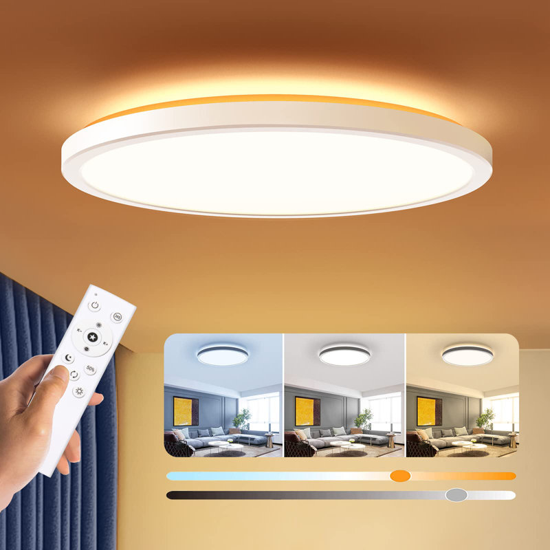Dimmable 12" LED Flush Mount Ceiling Light, 24W, Colour Adjustable, Remote Control