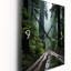 Usa Jedediah Smith Redwoods Forest - Landscapes Modern Wall Clock-758138790