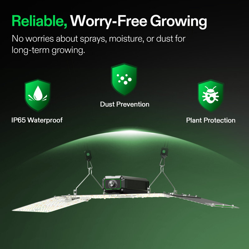 LumaLight 200W DEL à intensité variable de croissance à spectre complet