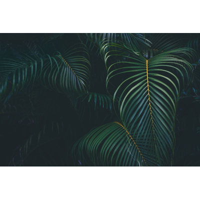 Palm Leaves Background - Wrapped Canvas Print