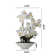 Natural Fibres Orchids Arrangement in Pot