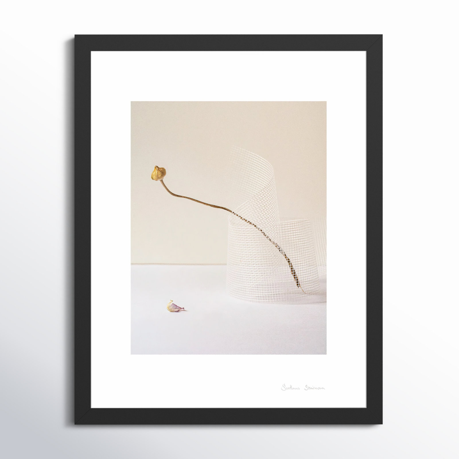 Lombard "Balance 2" Photo Print, Black, 38" H x 30" W x 1.25" D