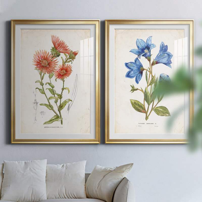 «Botanical I», ensemble de 2 reproductions d'art, Blanc, H 26,5 po x l 73 po x P 1,5 po, Papier encadré doré