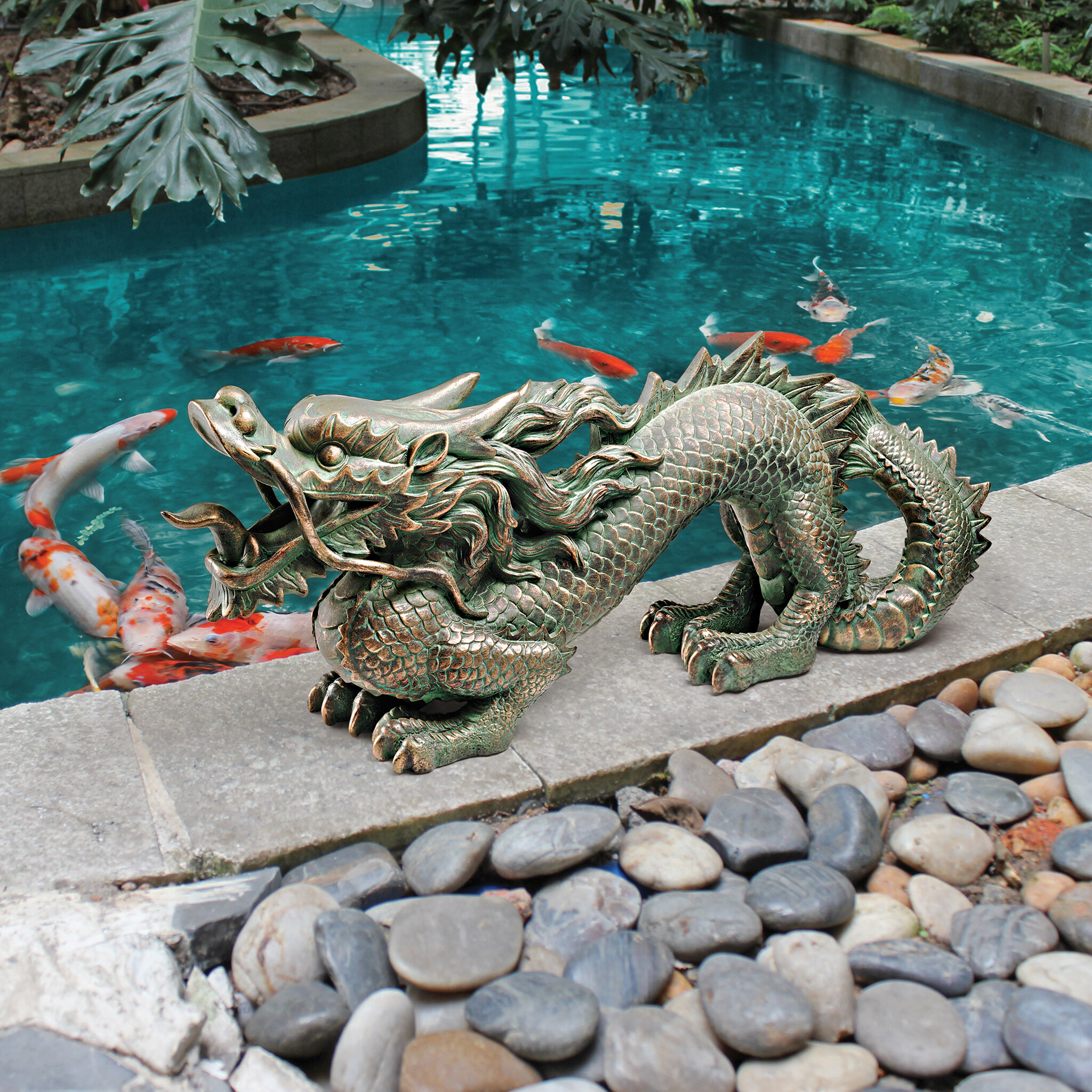 chinese water dragon swimming in pool