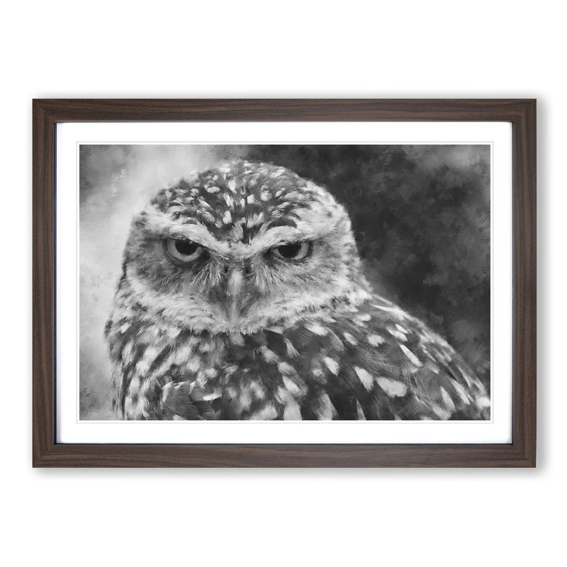 Little Owl - Picture Frame Graphic Art Print, 24cm H x 33cm W x 2cm D, Walnut Framed