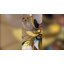 White Glass Post Modern Led Chandelier With Leaf Deco In Brass-737428897