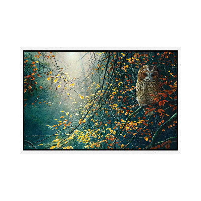 Tawny Owl by Jeremy Paul - Print on Canvas, 101.6 cm H x 66.04 cm W, White Framed