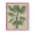Rose est en rupture de stock
