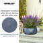 Reinforced Stone Bowl Planter, Faceted Shallow Planter, Bonsai Pot-1661337767-1661337766