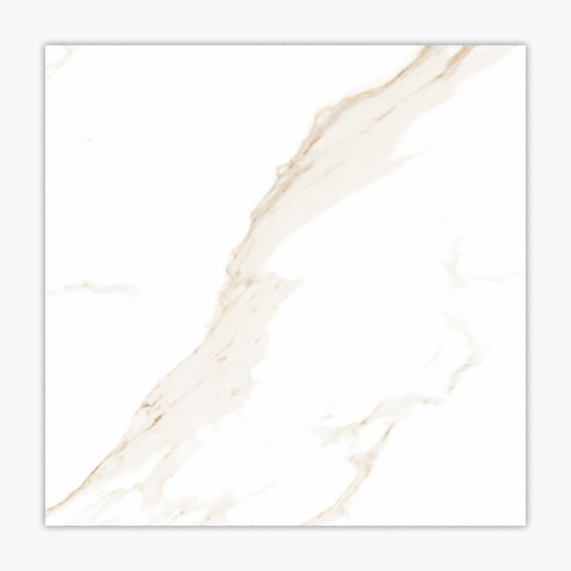 24" x 24" Porcelain Stone Look Wall & Floor Tile