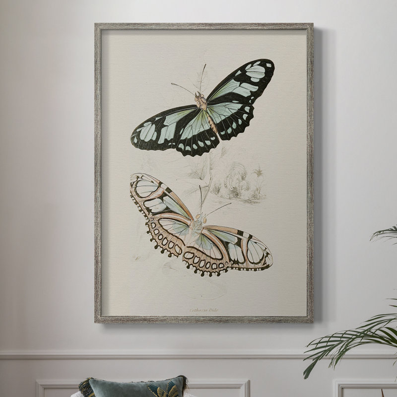 «Vintage Animal Print», reproduction encadrée en L - bois massif, H 11 po x l 9 po