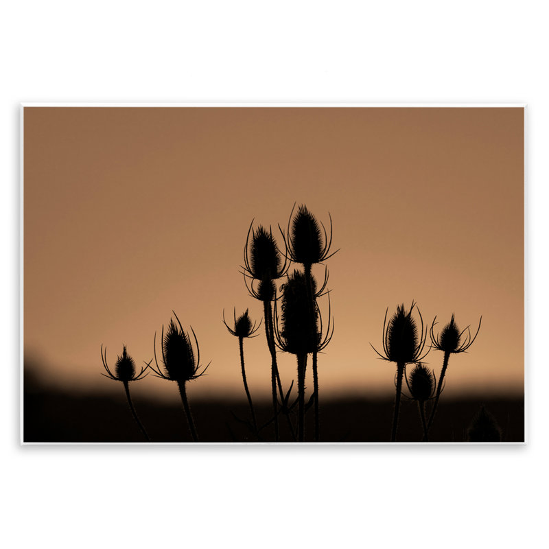 «Botanical Sprigs Silhouettes», art mural sur toile par Nancy Crowell, H 13 po x l 19 po