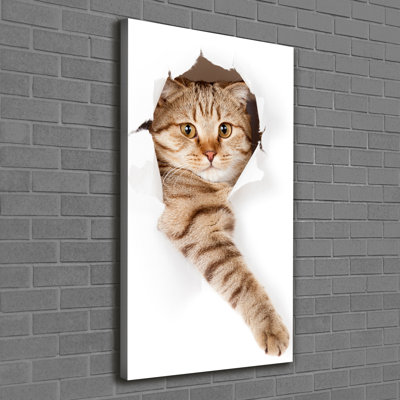 Cat - Wrapped Canvas Print