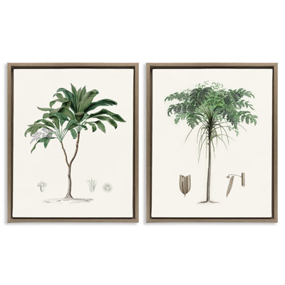 Ensemble de 2 cadres flottants Two Types of Palms, design par Val Rhodes