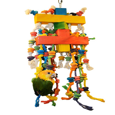 Happy Beaks, le calmar géant