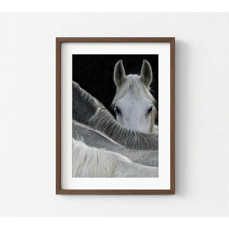 Reproduction de photo de cheval - force tranquille, décor moderne, Impression encadrée avec passe-partout, Brun