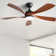 52 Inch Indoor Ceiling Fan With 3 Colour Dimmable 5 Abs Blades Remote Control Reversible Dc Motor Black With Led Light