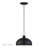 Aaranyan 1 Light Black Pendant-2103114768