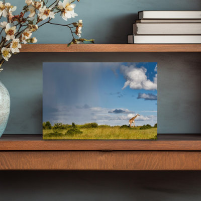 Contemporary Art Contemporary Giraffe Nature Wildlife Wall Art by Carolina Garcia-Paris - Wrapped Canvas Print