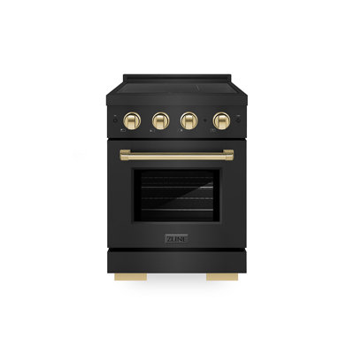 ZLINE Autograph 24 in. Black Stainless Paramount Induction Range with Polished Gold Accents