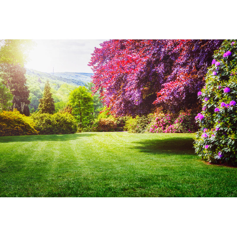 Spring Green Park by Firina - Wrapped Canvas Print, 30cm H x 46cm W
