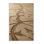 Machine Washable Nature Beige Area Rug