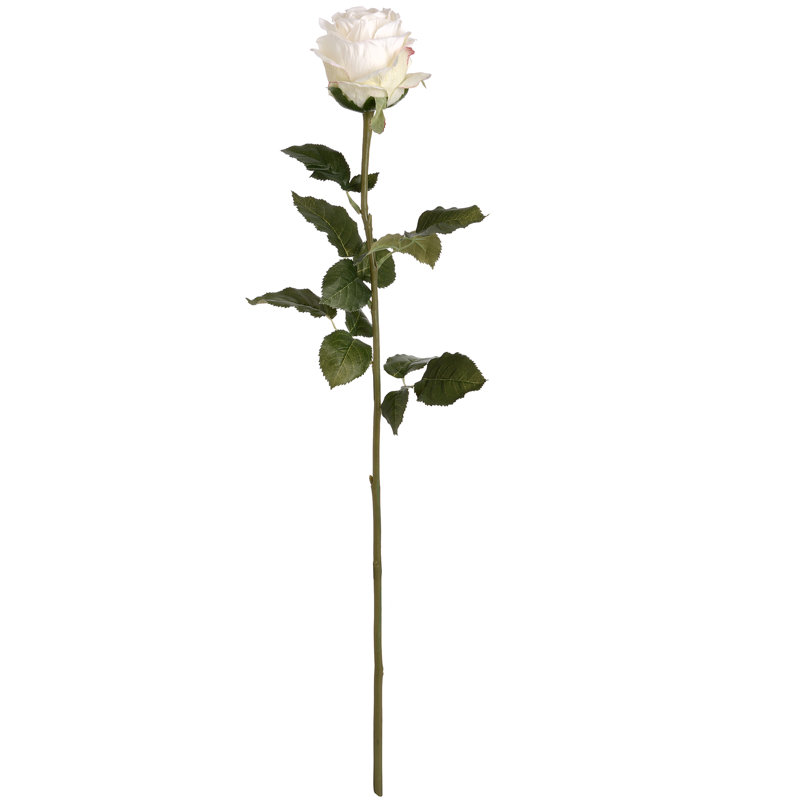 Arrangement