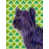 Skye terrier sélectionné