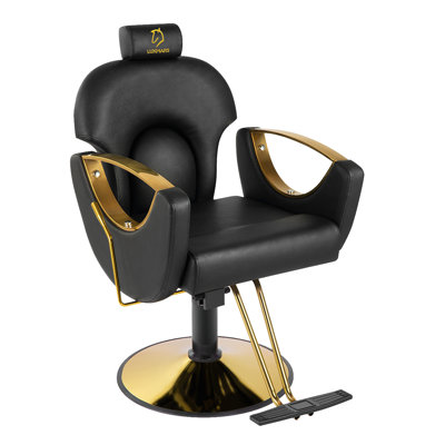  Fauteuil de coiffeur Fauteuil de coiffeur hydraulique Fauteuil de coiffeur pivotant sur 360 degrés Fauteuil de coiffure pivotant Fauteuil de coupe Shampooing pour salon Equipmen (noir)