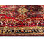 Oriental Indoor Rug