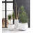 Claire Pot Planter