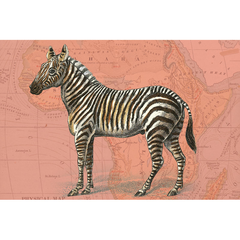 African Animals On Coral IV by Studio W - Painting on Canvas, 20cm H x 30cm W, Wrapped Canvas