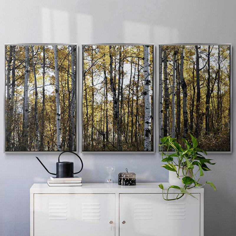 Sunny Grove - Toile encadrée multi-pièces, H 24 po x l 48 po x P 2 po, Argent