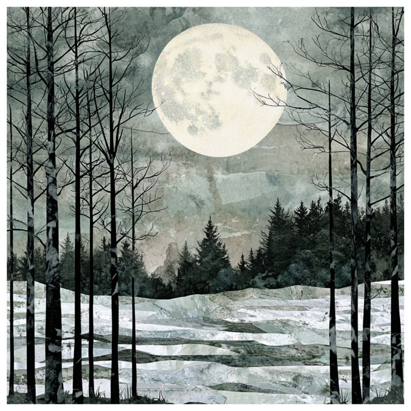 Full Moon Winter Landscape Comforter, Twin Extra Long
