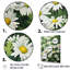 «White Daisy Blooming Elegance V», reproduction sur toile-1412575287-1412575285