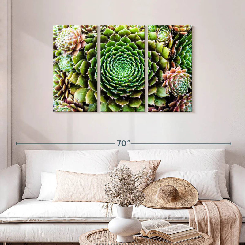 Harnek Flower Like Succulents, 28" H x 45" W