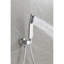 Robinet de pomme de douche mural