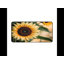 Polyester Desk Pad-278802921