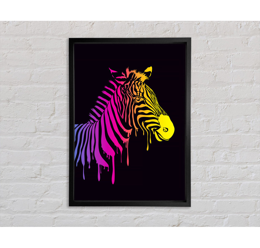 Zebra Regenbogen - Druck