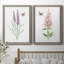 «Wildflower Botanical I», ensemble de 2 reproductions d'art-923653543-808463890-923653540