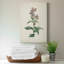 «Traditional Botanical II», impression sur toile tendue-1942529584