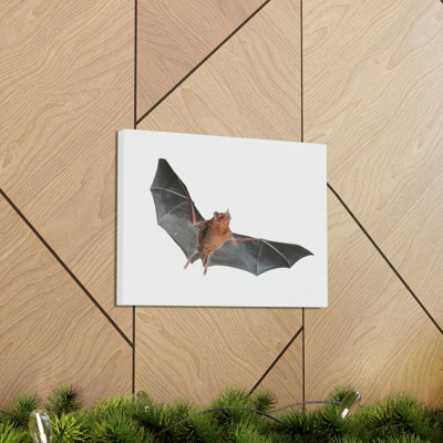 Wall Art on Canvas