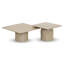 Alessia Coffee Table - Set of 2-882934159