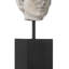 Venus Head On Stand Set Of 2