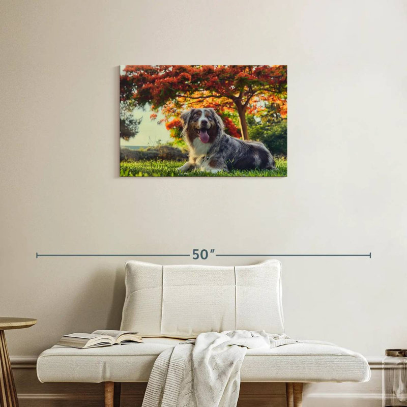 Cherry Border Collie, 20" H x 30" W